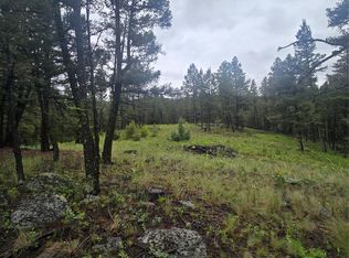 60 Snowberry Ln, Drummond, MT 59832