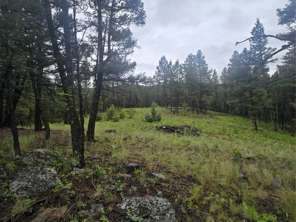 60 Snowberry Ln, Drummond, MT 59832