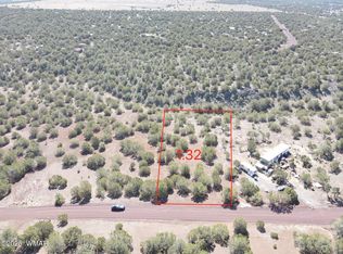 50 County Road 3190, Vernon, AZ 85940