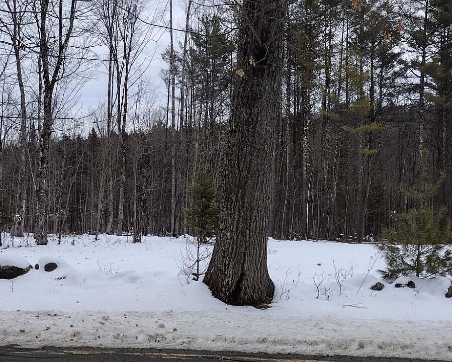 2nd image of Lot #5 North Road