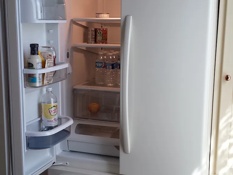 French double door refrigerator with bottom freezer