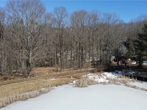 6070 McHenry Valley Rd, Almond, NY 14804