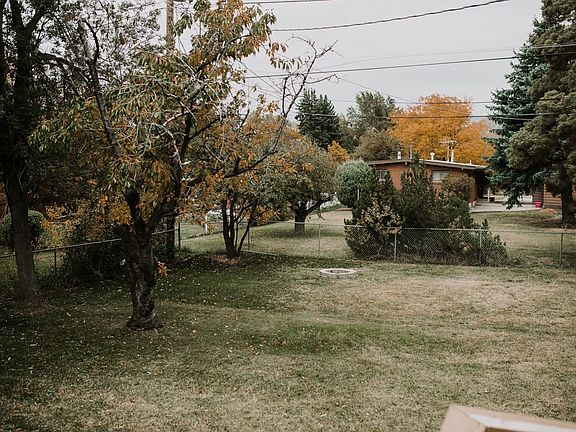 back yard