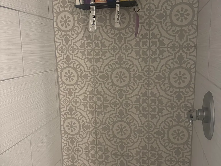 Shower in main br