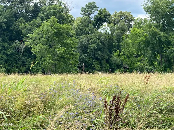 LOT 39 Tributary Dr, Sevierville, TN 37876