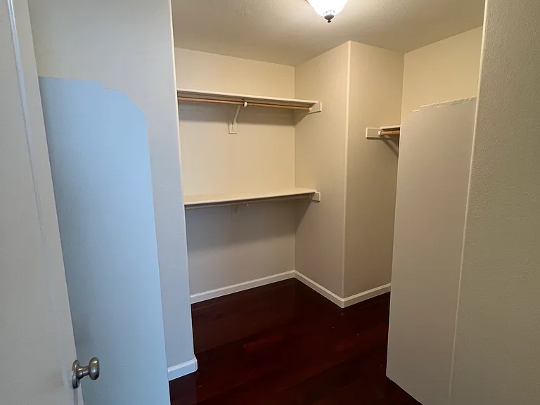Master BR walk-in closet