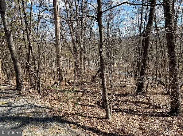 Locust Ln, Mount Jackson, VA 22842