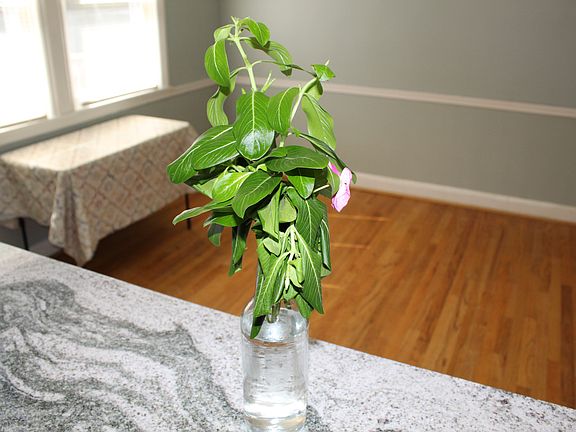 pass through opening between the kitchen and dining room.