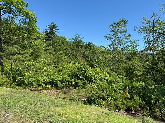3rd image of Lot 2 Youngs Way