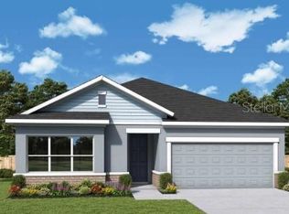 11367 Hardwood Hammock Ln, Riverview, FL 33569