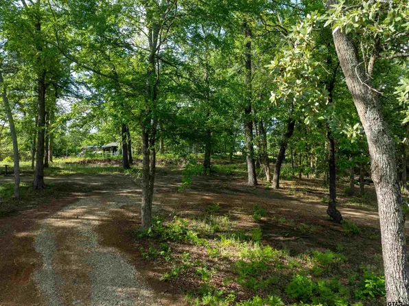 175 N Lake Dr, Murchison, TX 75778