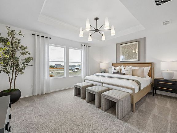 Spacious owner s suite with tray ceiling