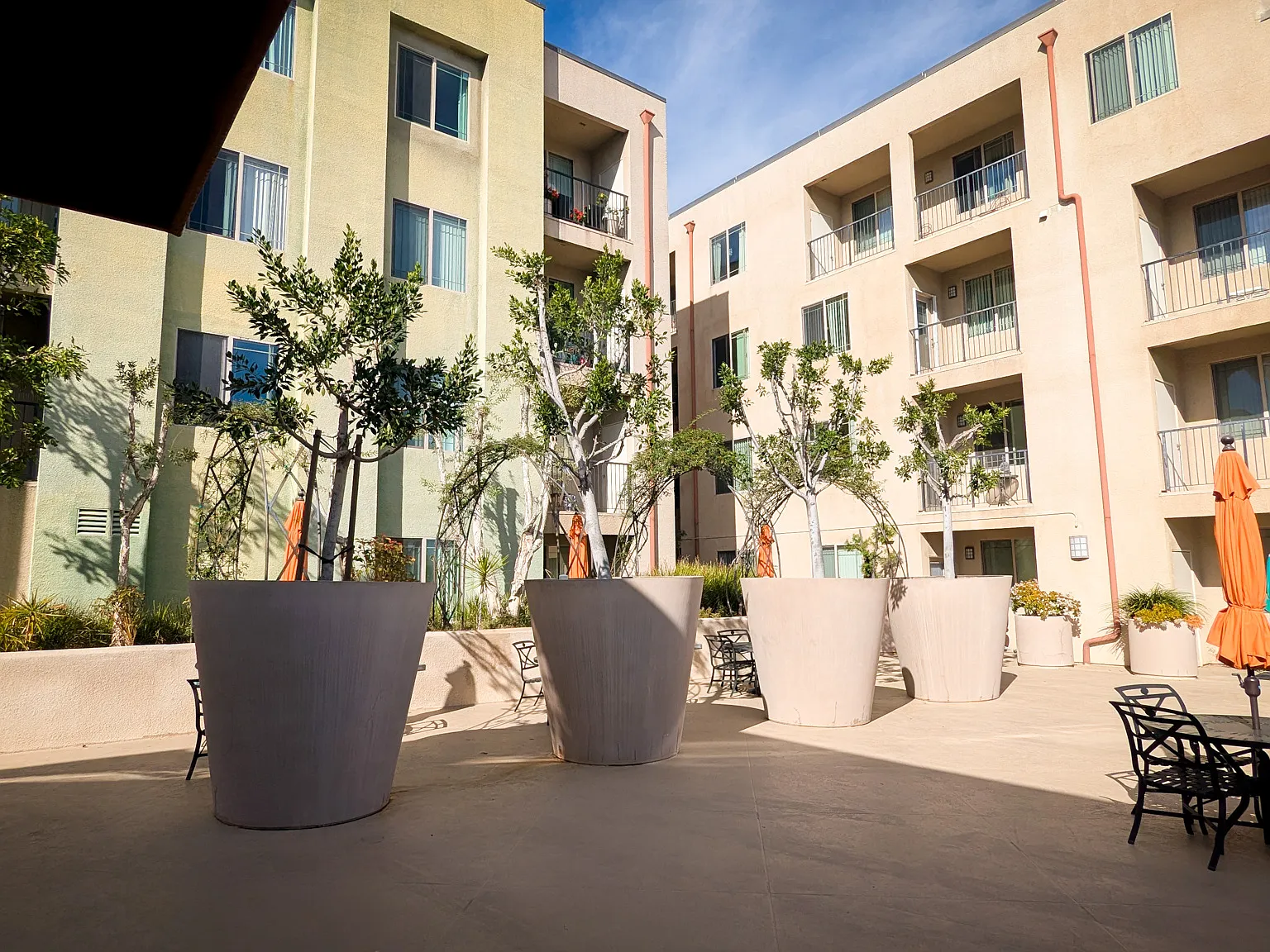 Burbank Senior Artists Colony — Photo 2