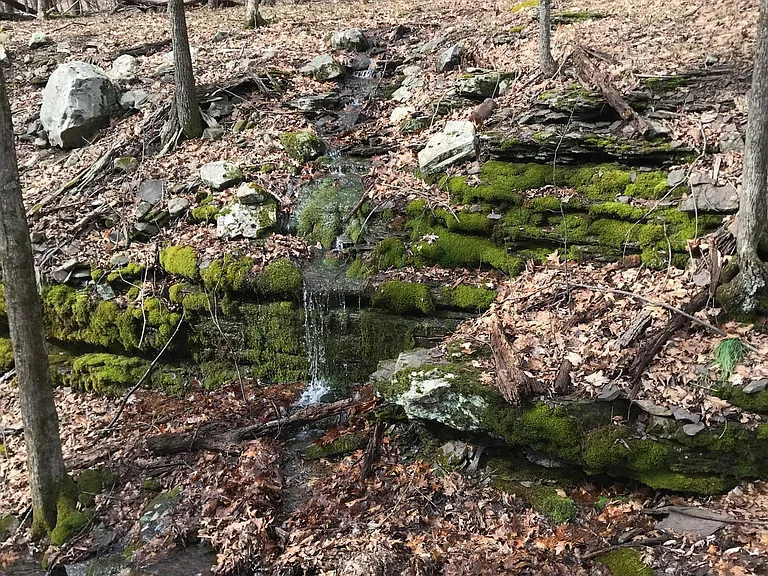Seasonal stream and gentle waterfall