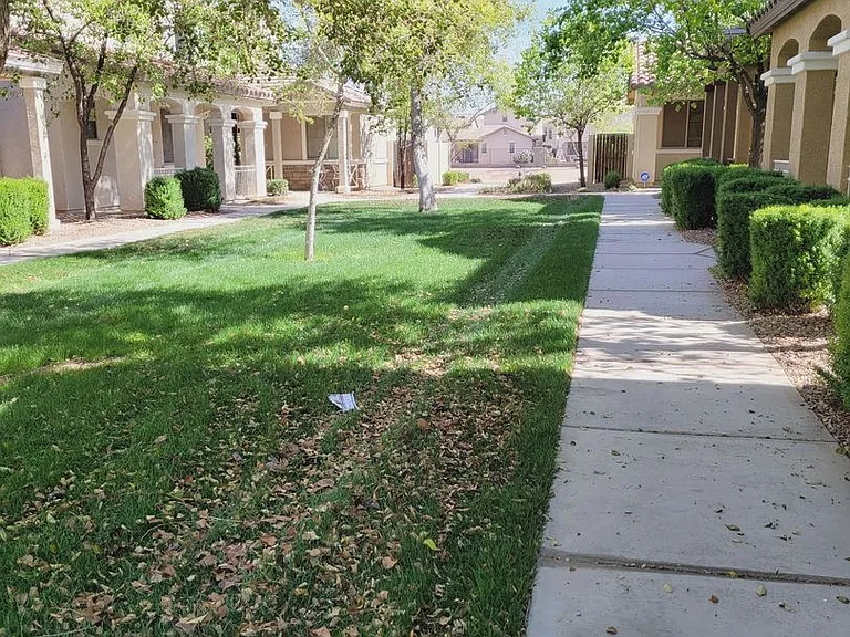 3816 E Trigger Way — Photo 17
