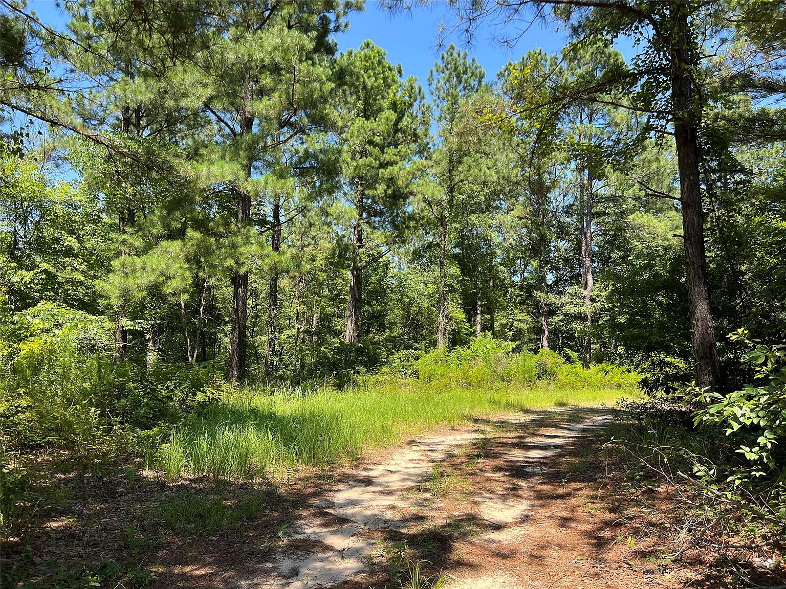 0 Highway 170, Vivian, LA 71082 | Zillow