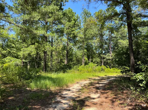 0 Highway 170, Vivian, LA 71082