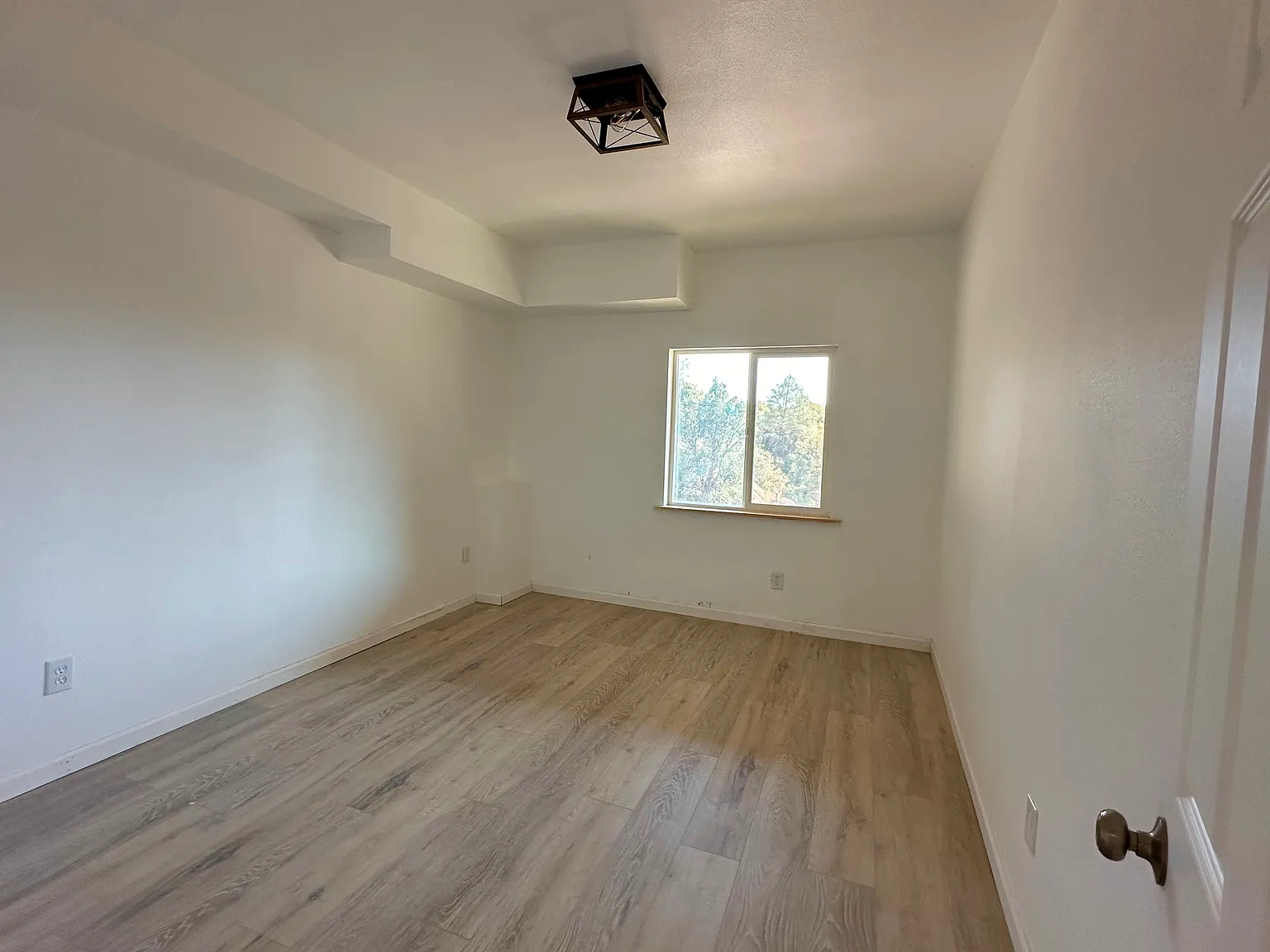 1 bed, $1,600 — Photo 3