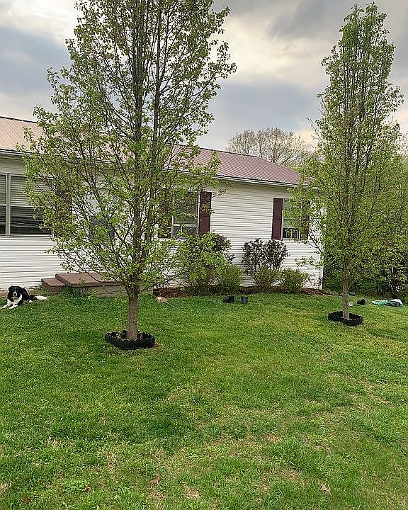2nd image of 1514 McClain Rd