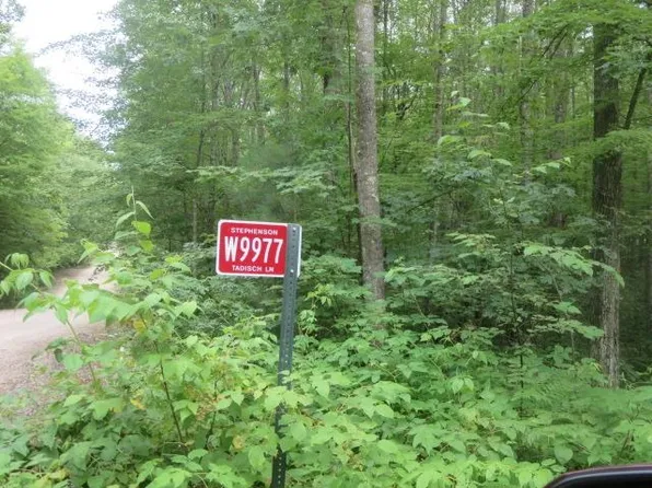 W9977 Tadisch Ln, Athelstane, WI 54104