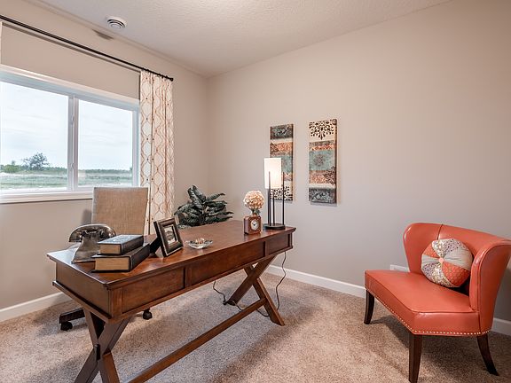 Photo of a Similar Maple