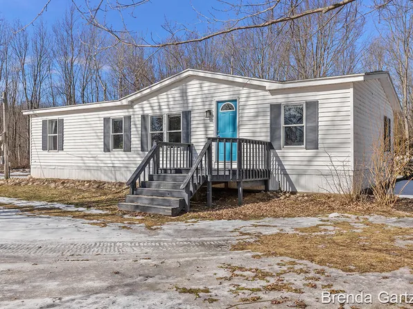 8455 Mowry St NE, Sand Lake, MI 49343