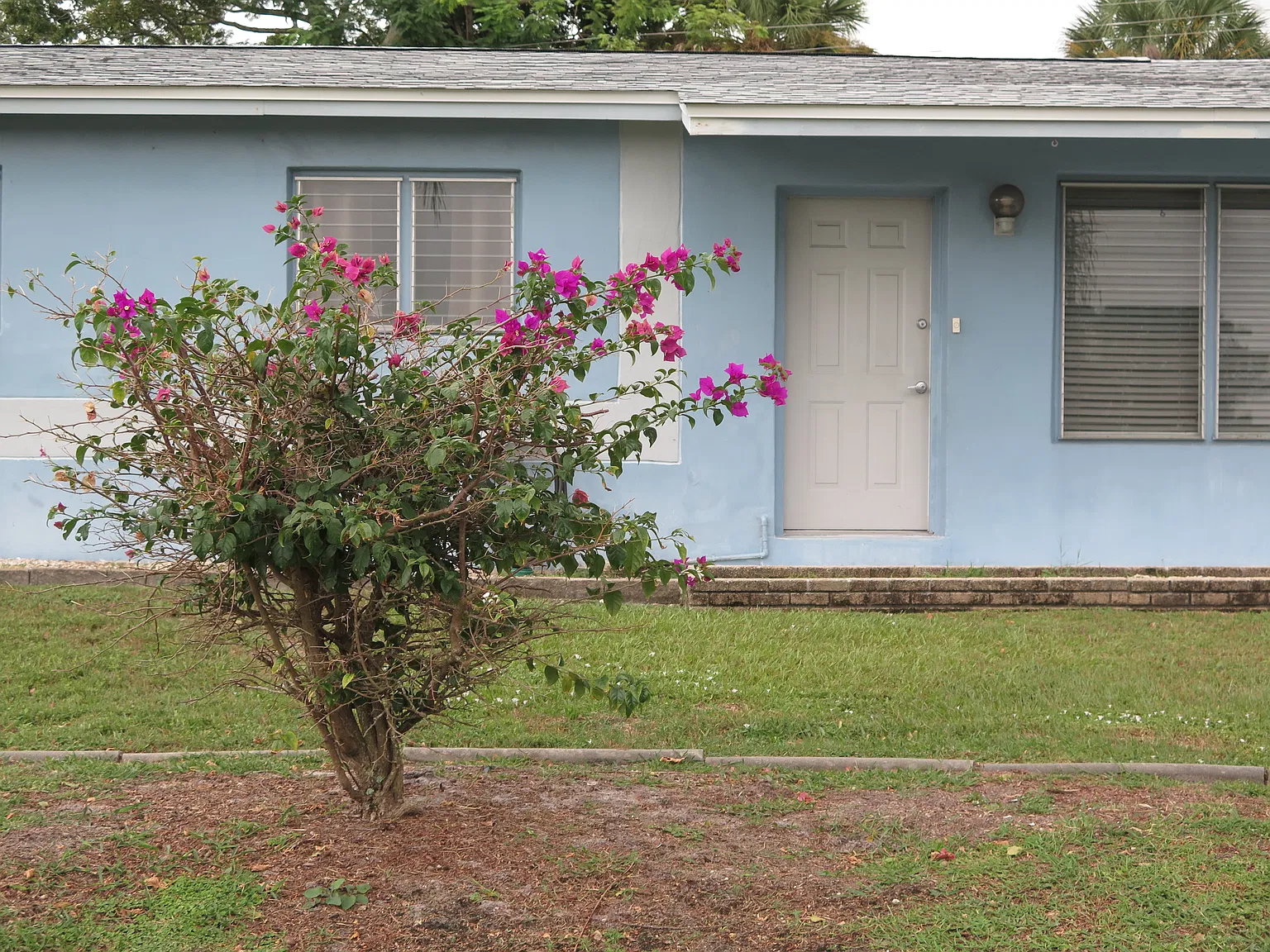 4 bed, 1600 sqft, $2,000 — Photo 2