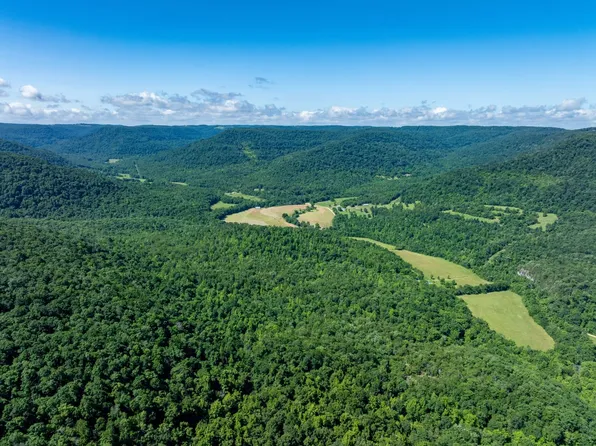 McElroy Gap Rd, Vendor, AR 72683