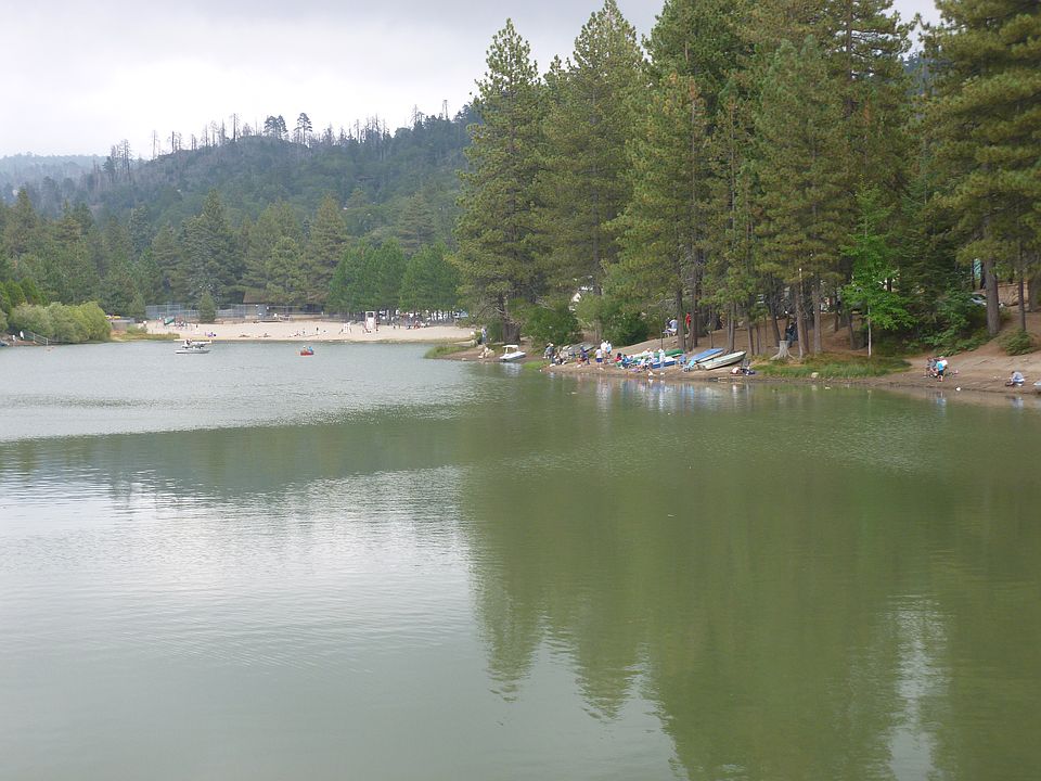 The Lake