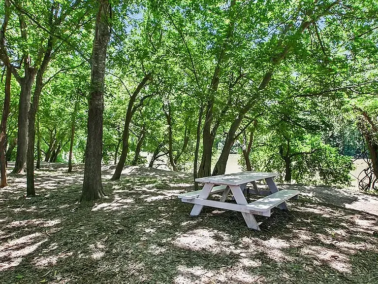 103 Hamilton Pool Ln — Photo 30