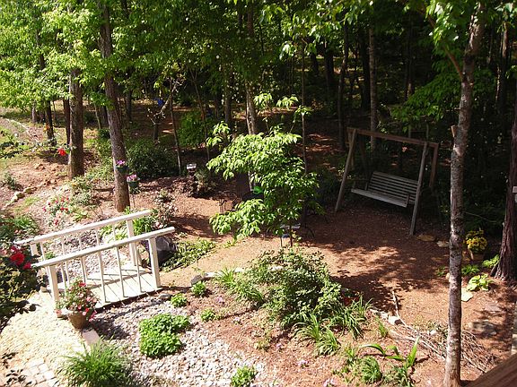 View from Deck