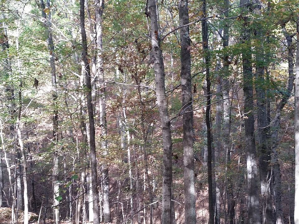 2nd image of 205 Hickory Trce