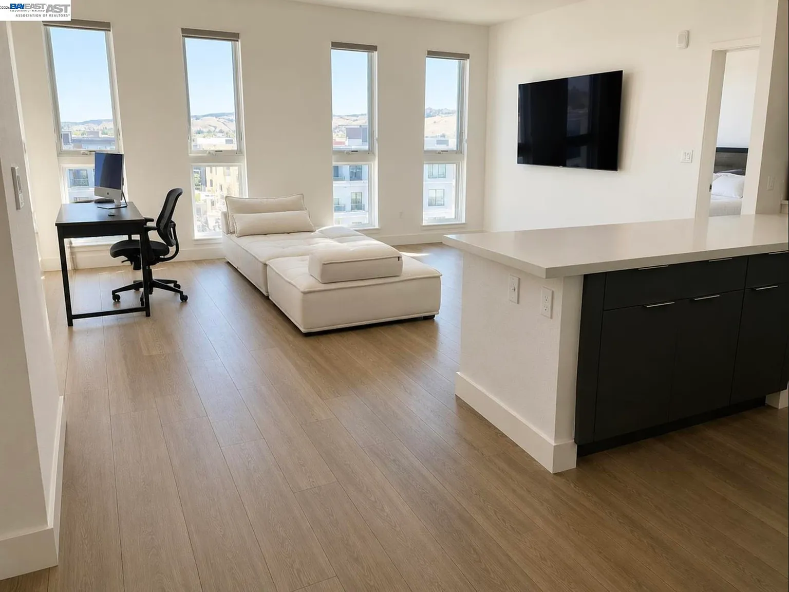 2 bed, 1049 sqft, $4,250 — Photo 2