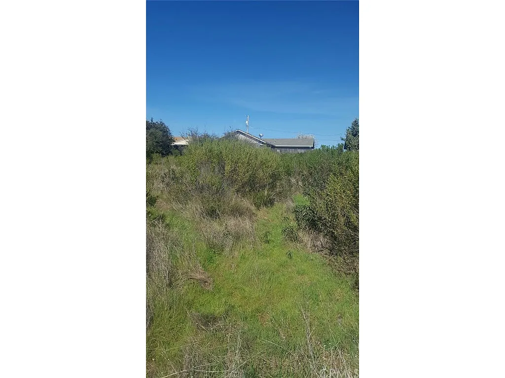 10068 Monte Cristo Dr photo 1