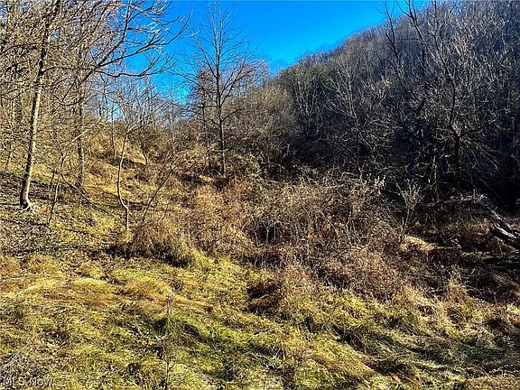 5th image of 34 Road