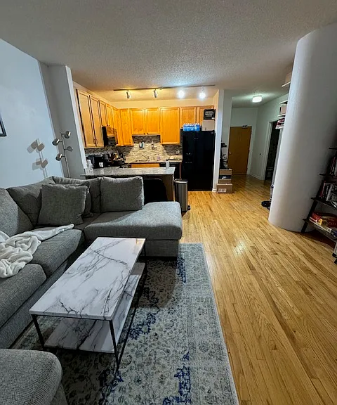 1717 S Prairie Ave #907 — Photo 9