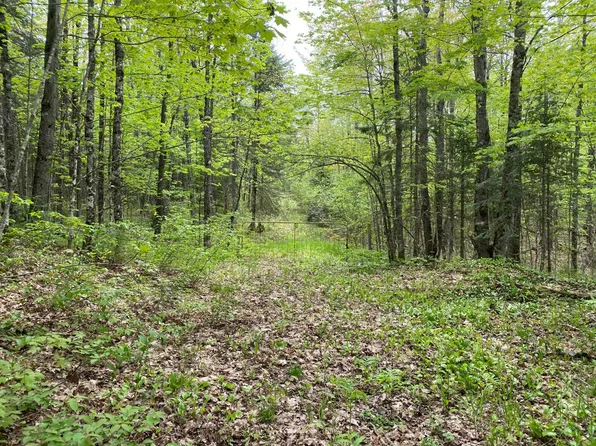 Underwood Grade Rd, Ironwood, MI 49938