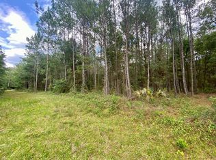 SW State Road 24, Otter Creek, FL 32683