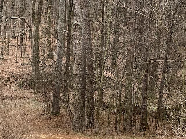 2nd image of Johnson Rd SE