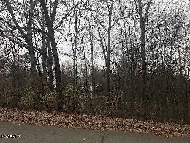 1st image of 0 Hinkle Estates Dr Lot 47