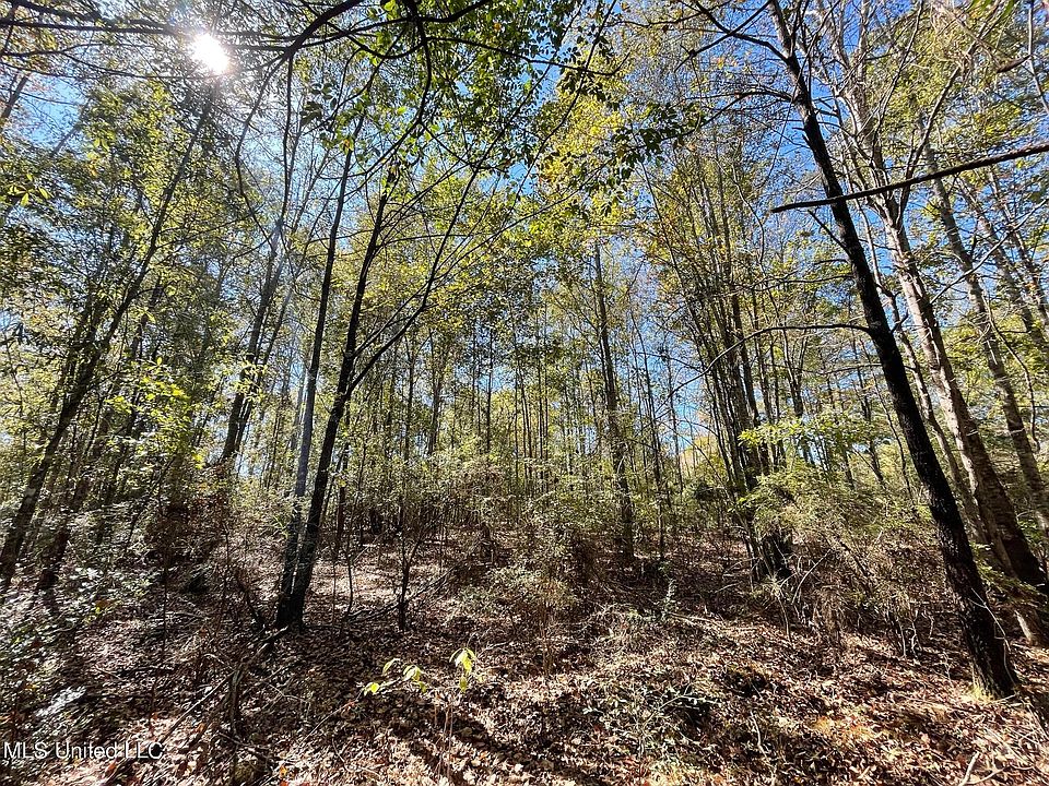 1st image of Mason Creek Rd