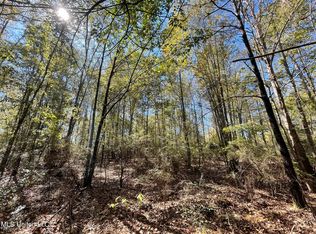 Mason Creek Rd, Taylorsville, MS 39168