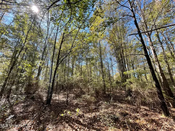 Mason Creek Rd, Taylorsville, MS 39168