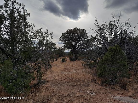 3rd image of LOT 1396 N Juniper Way