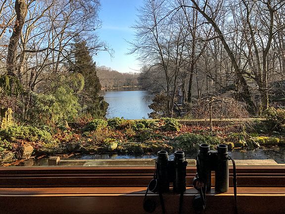 View from living room