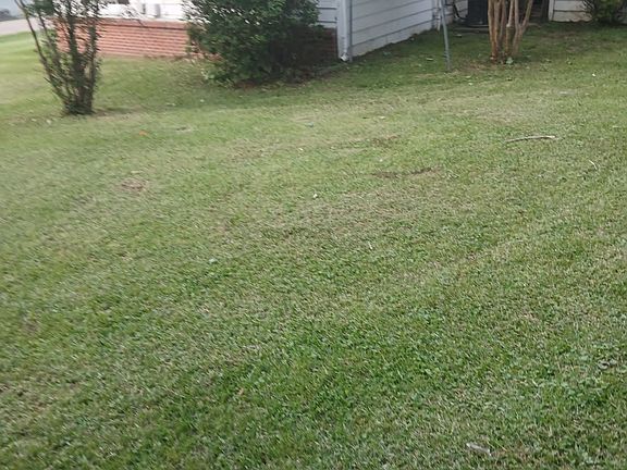 2nd image of 540 E Willis Ave