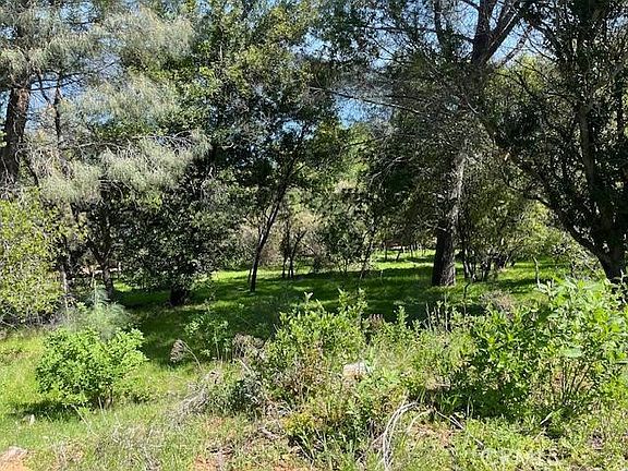 3rd image of 8444 Soda Bay Rd #6-8