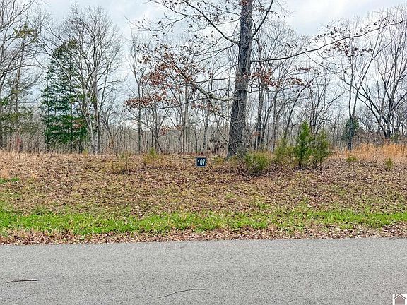 3rd image of Haynes Cemetery Rd