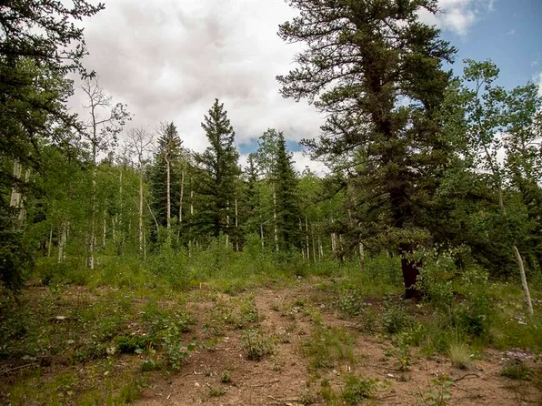 32008 Elk Trail Lane, Creede, CO 81130