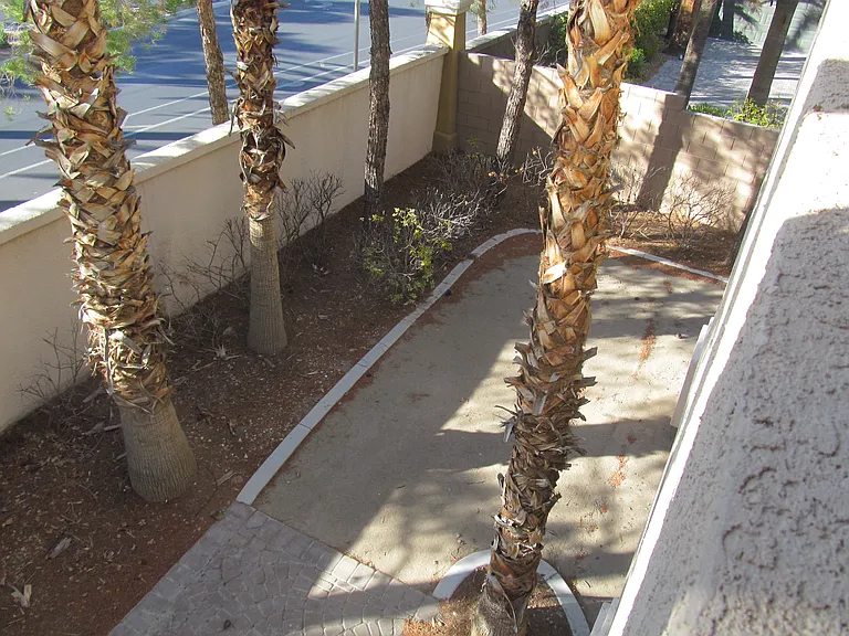 343 Center Green Dr — Photo 30